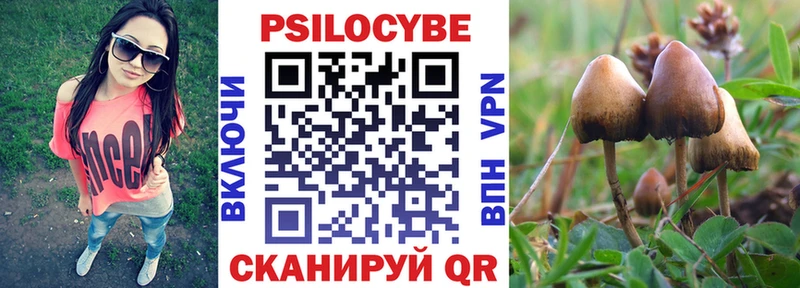 Псилоцибиновые грибы Psilocybe  Калачинск 